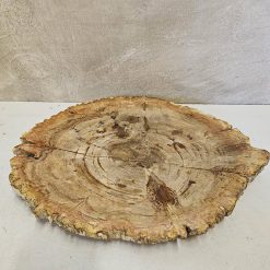 Schaal beige plat